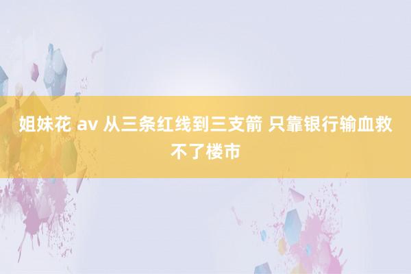 姐妹花 av 从三条红线到三支箭 只靠银行输血救不了楼市