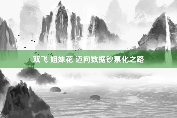 双飞 姐妹花 迈向数据钞票化之路