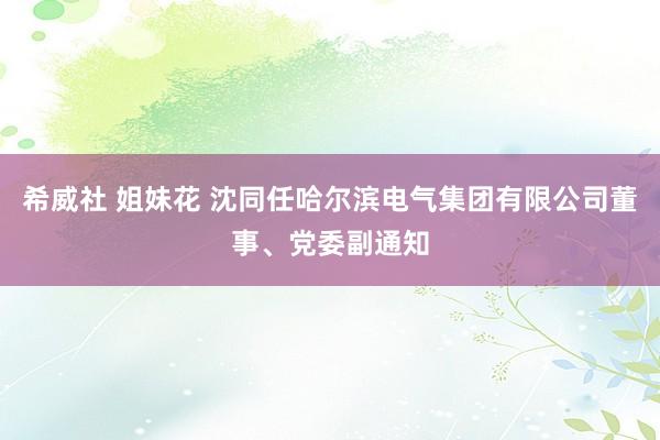 希威社 姐妹花 沈同任哈尔滨电气集团有限公司董事、党委副通知