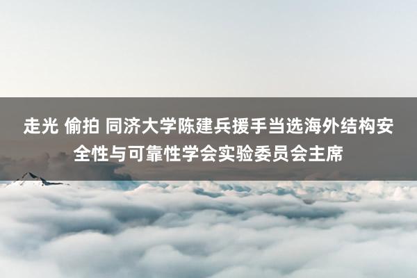 走光 偷拍 同济大学陈建兵援手当选海外结构安全性与可靠性学会实验委员会主席