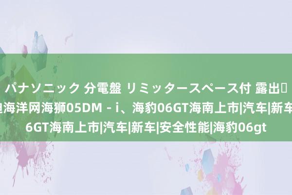 パナソニック 分電盤 リミッタースペース付 露出・半埋込両用形 比亚迪海洋网海狮05DM－i、海豹06GT海南上市|汽车|新车|安全性能|海豹06gt